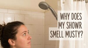 why does my shower smell musty